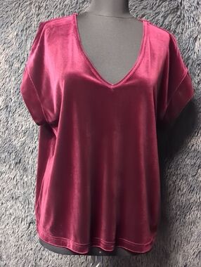 Ricki's Velvet V-Neck Top in Burgundy